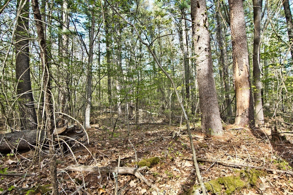 Lot B Kiwanis Beach Rd Property Photo 4