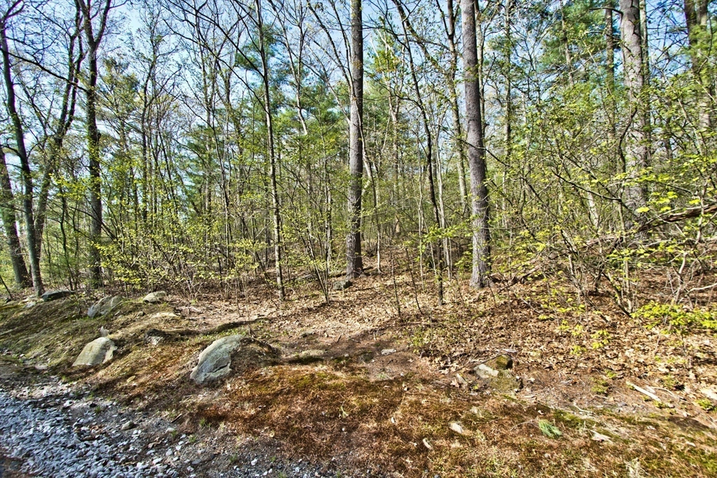 Lot B Kiwanis Beach Rd Property Photo 5