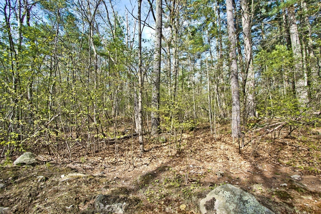 Lot B Kiwanis Beach Rd Property Photo 6