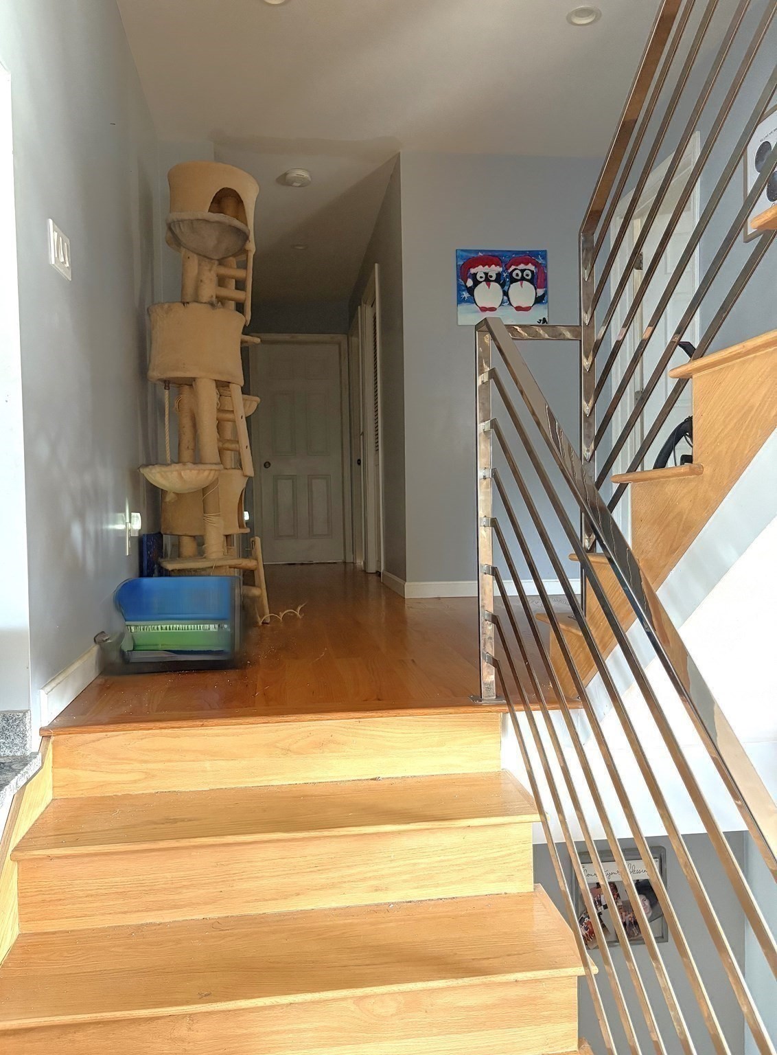 63 Doonan St Property Photo 10