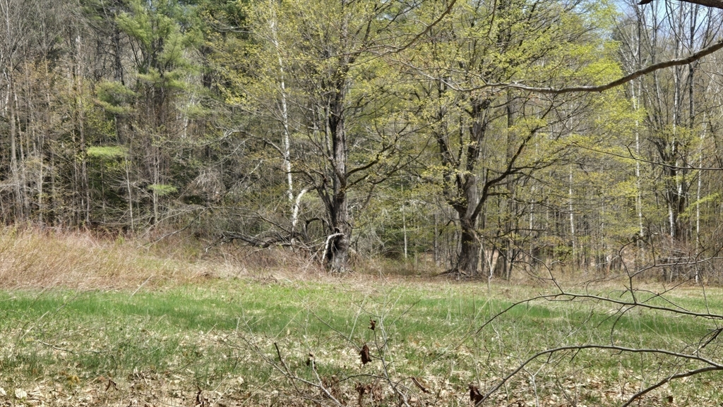 0 West Branch Road Property Photo 1
