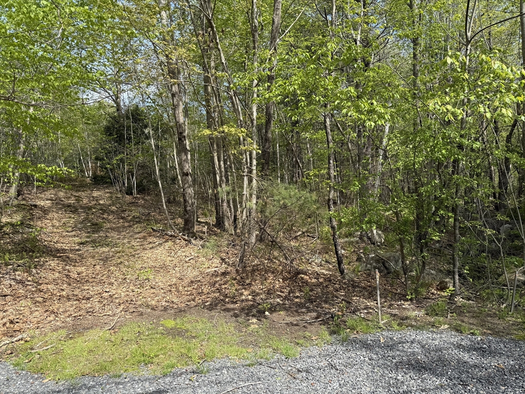 Lot 0 Old Westminster Rd Property Photo 1