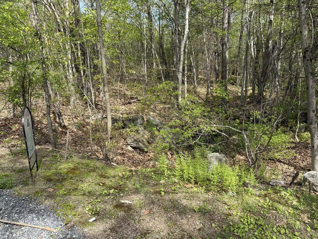 Lot 0 Old Westminster Rd Property Photo 2