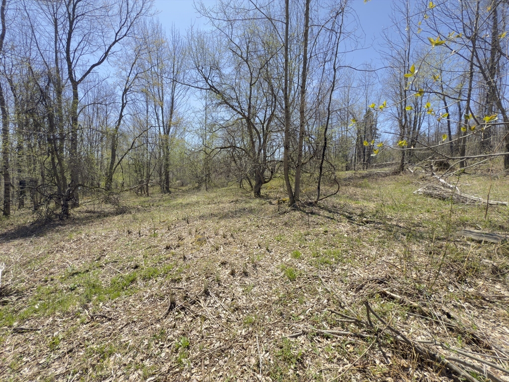 0 Mountain View Drive Property Photo 1