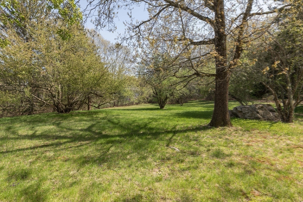 56 Ridgeway Rd Property Photo 34