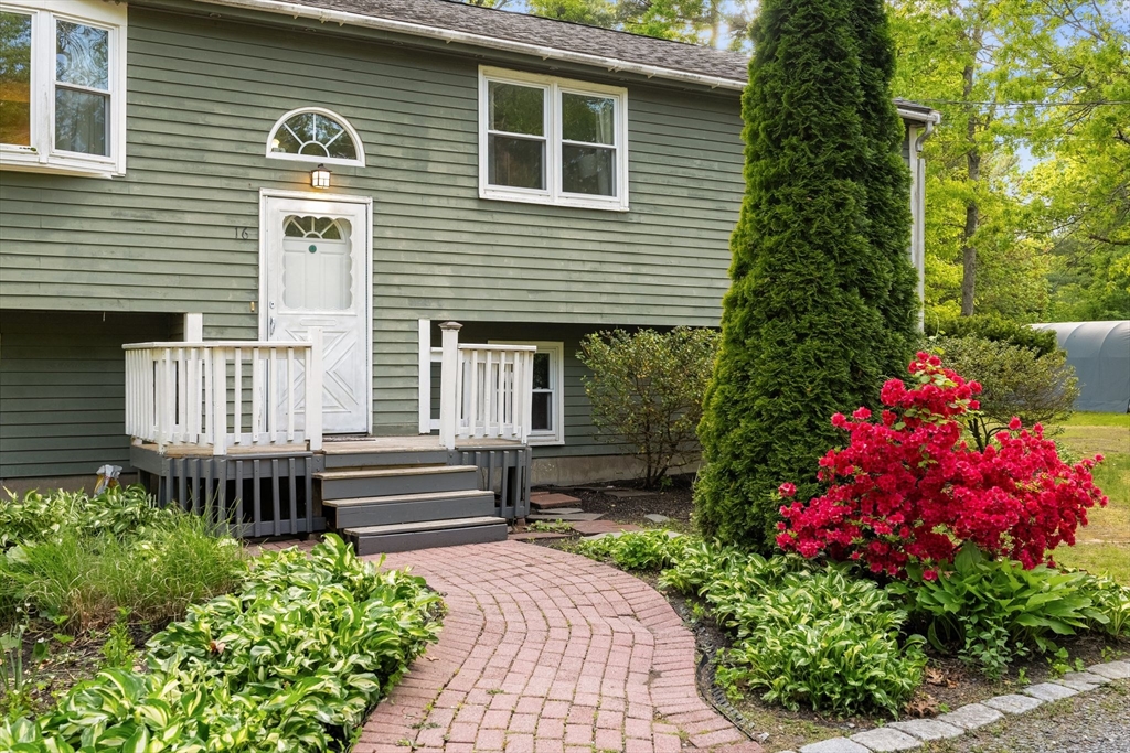 16 Forest St.