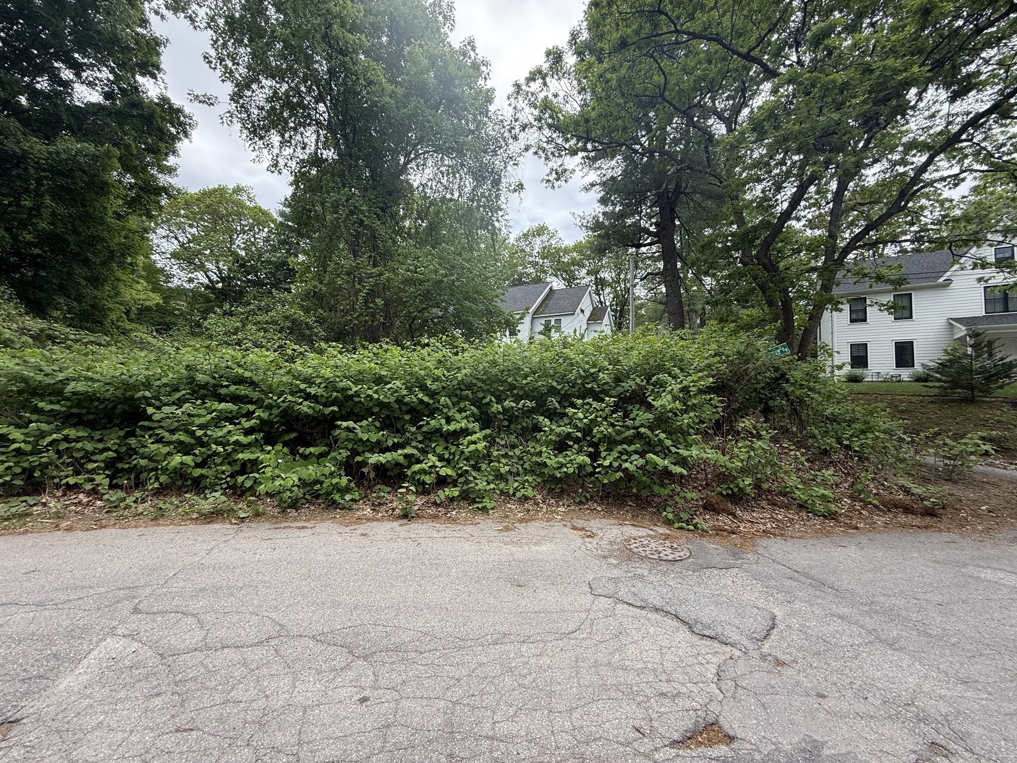 4 Shore Rd Property Photo 4
