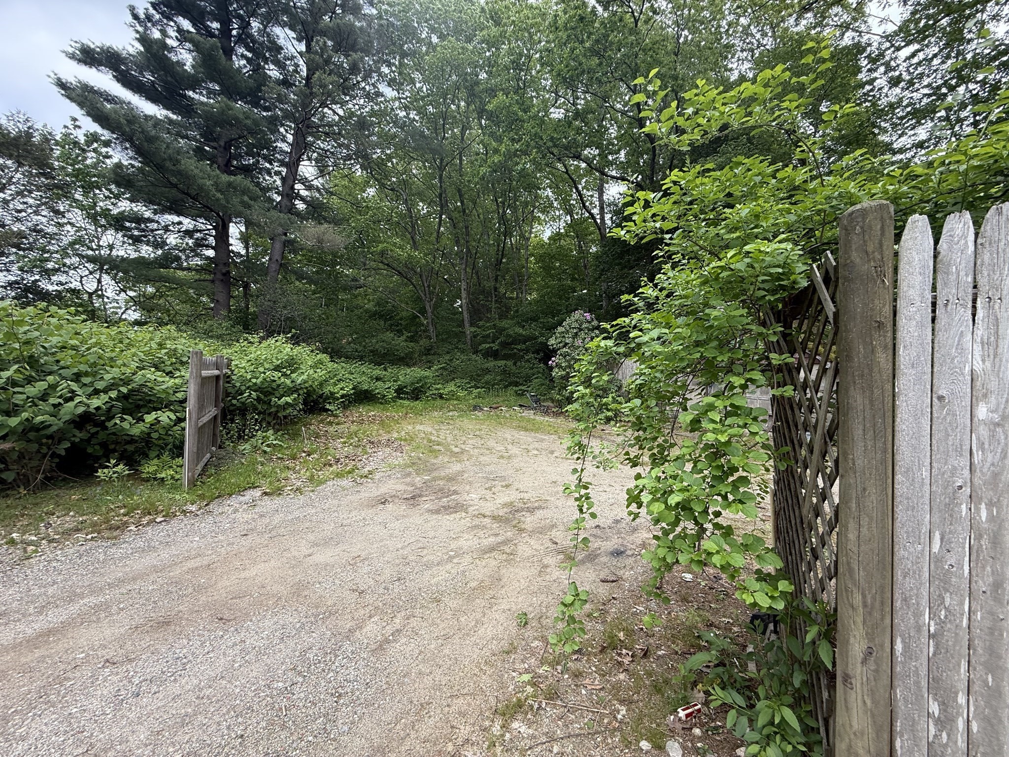 4 Shore Rd Property Photo 7