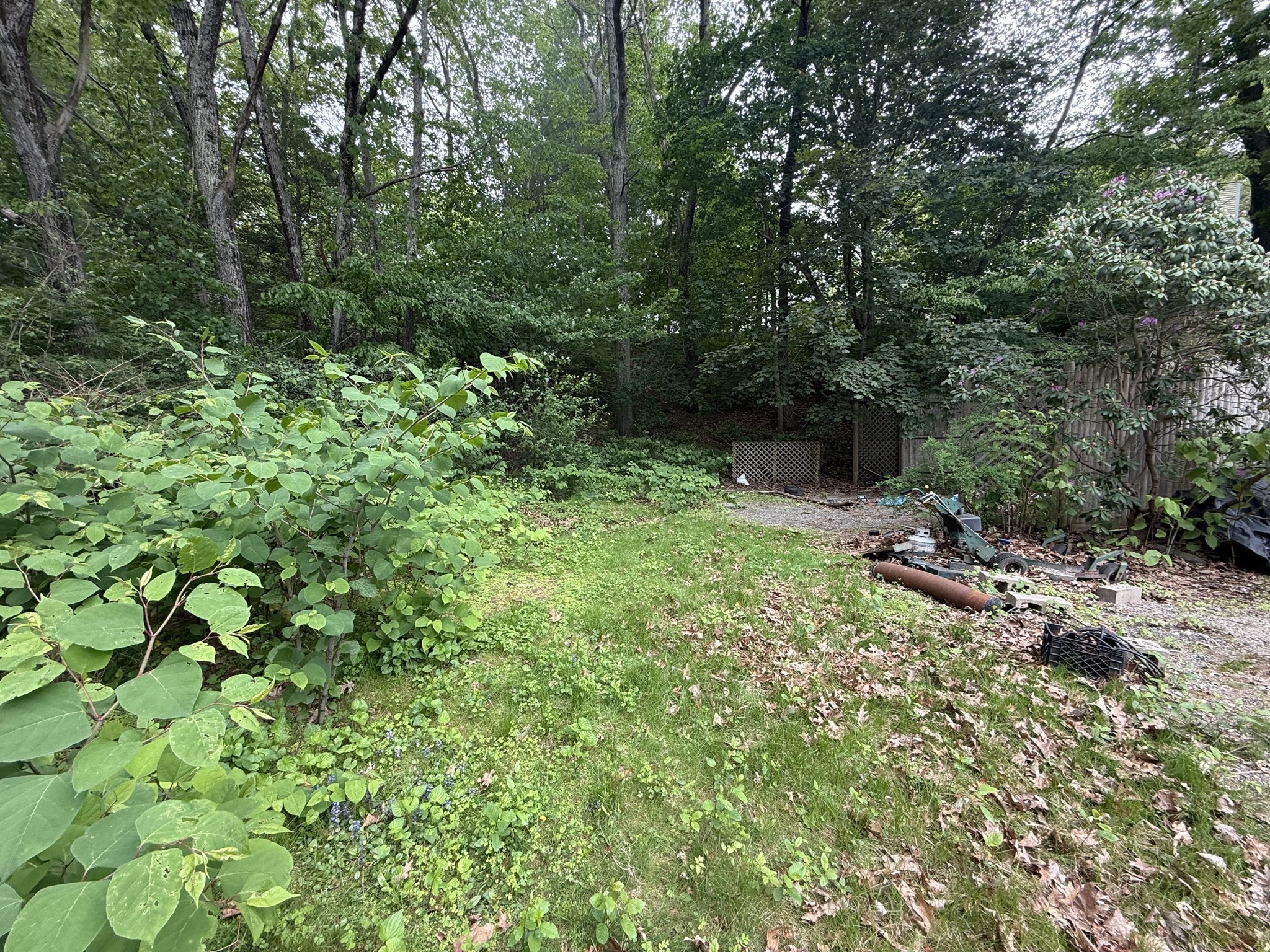 4 Shore Rd Property Photo 8