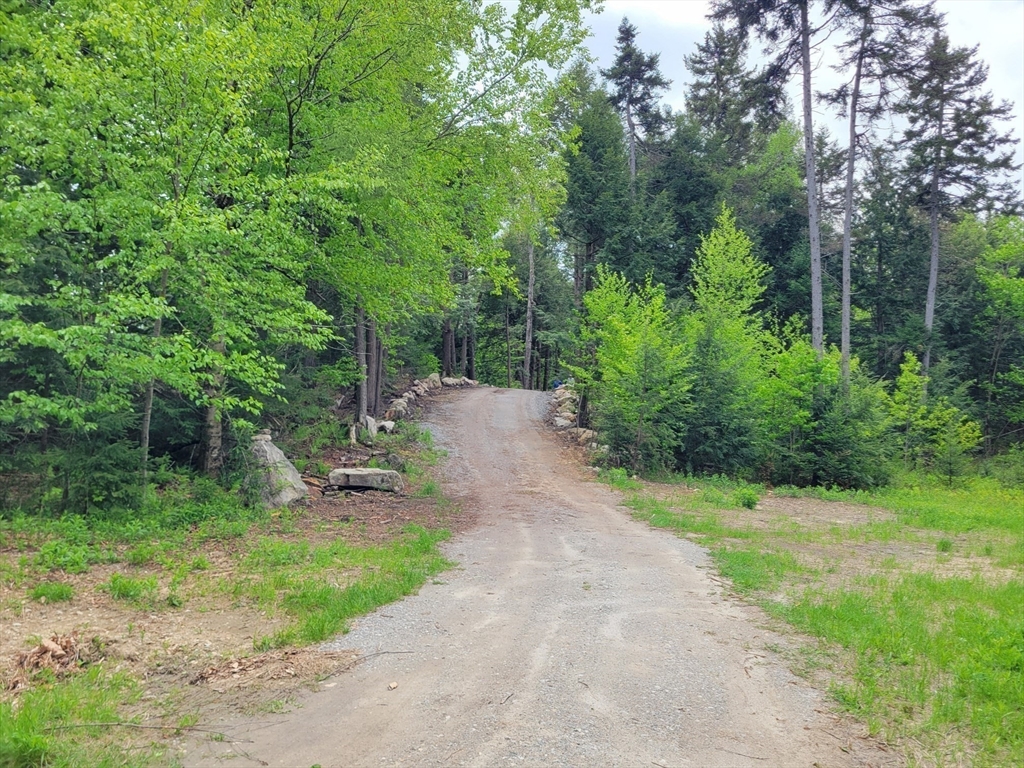 197 Lakeshore Drive Property Photo 4