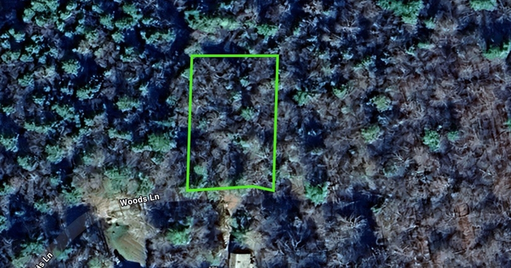 0 Woods Ln Property Photo 1