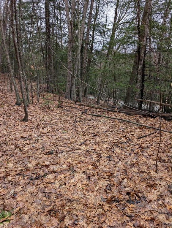 111 Keets Brook Rd Property Photo 2