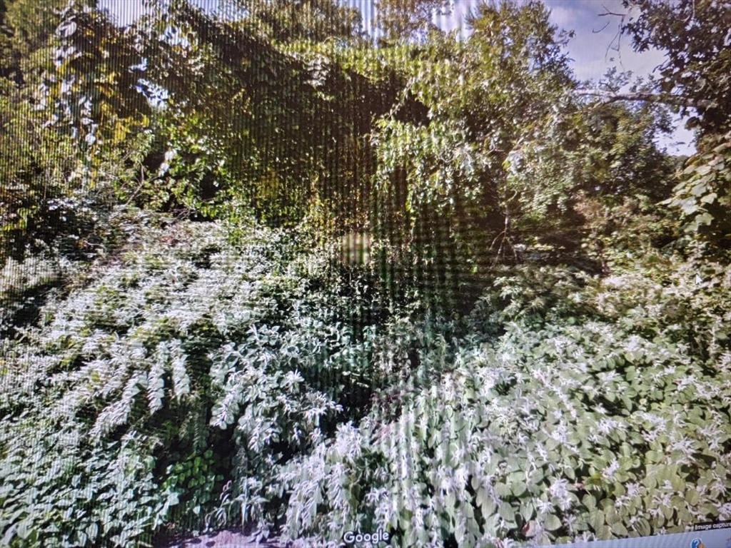 30 Patton St Property Photo 1