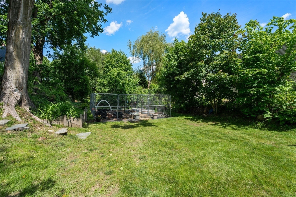 4 Walcott Street Property Photo 26