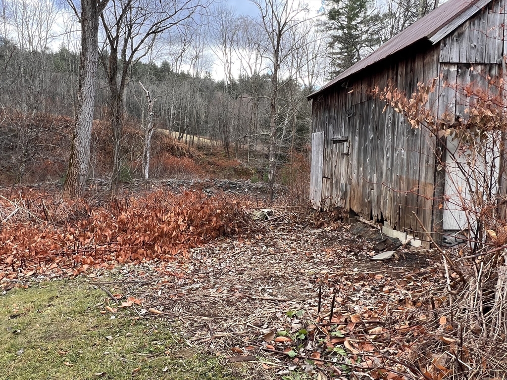 79 Berkshire Trail Property Photo 5