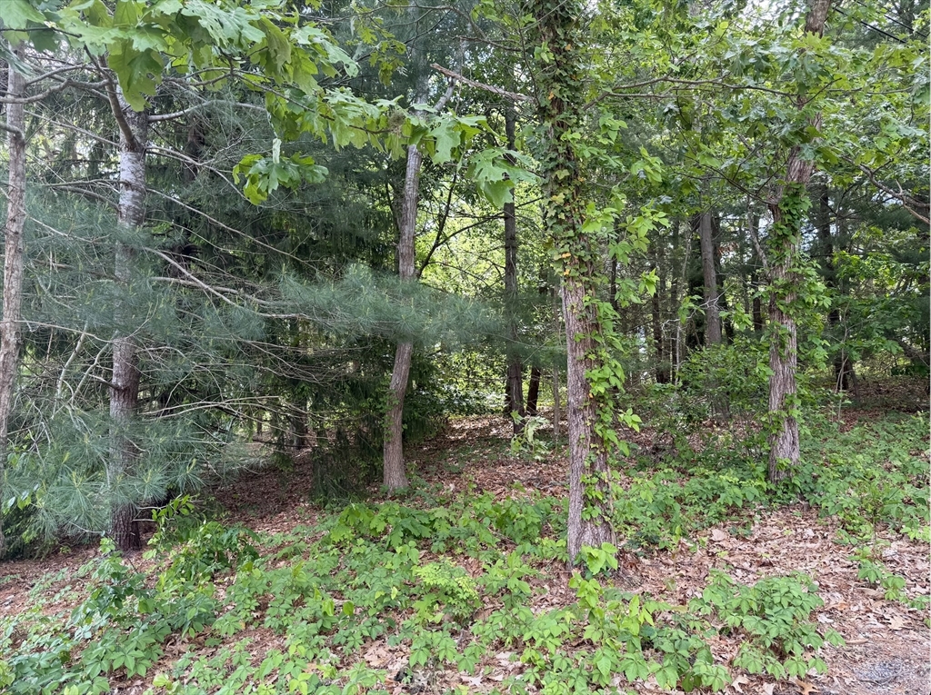17 Fairmount Road Property Photo 1