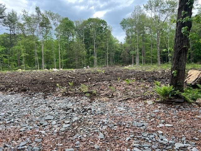 Lot 38 Edson Property Photo 1