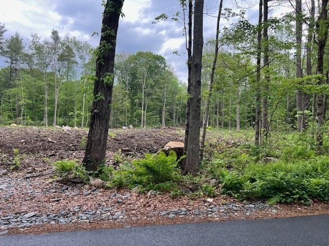 Lot 38 Edson Property Photo 2