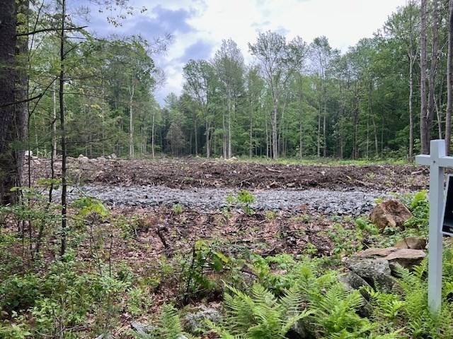 Lot 38 Edson Property Photo 4