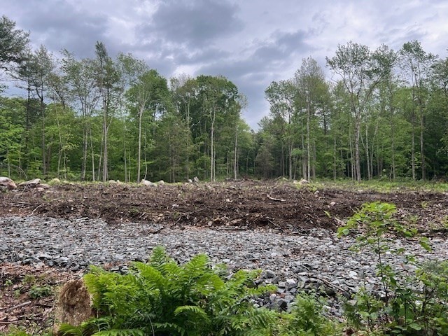 Lot 38 Edson Property Photo 5