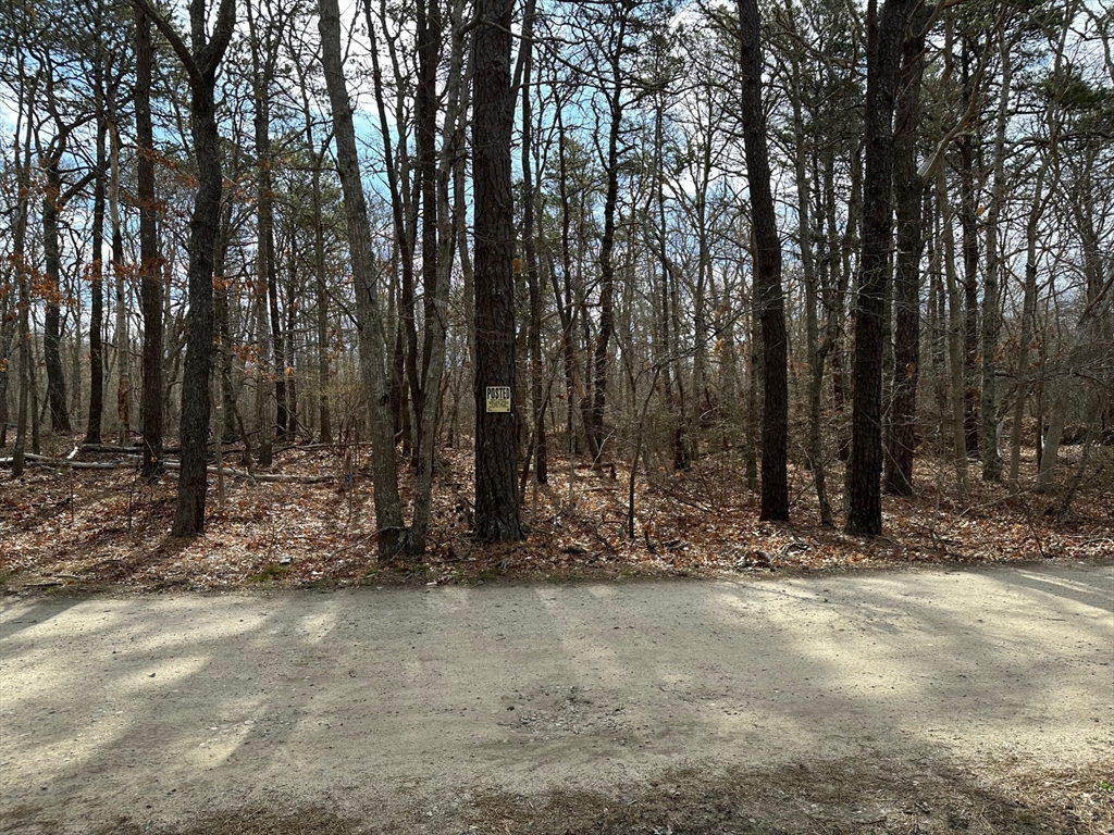 12 Old Campground Road Property Photo 1