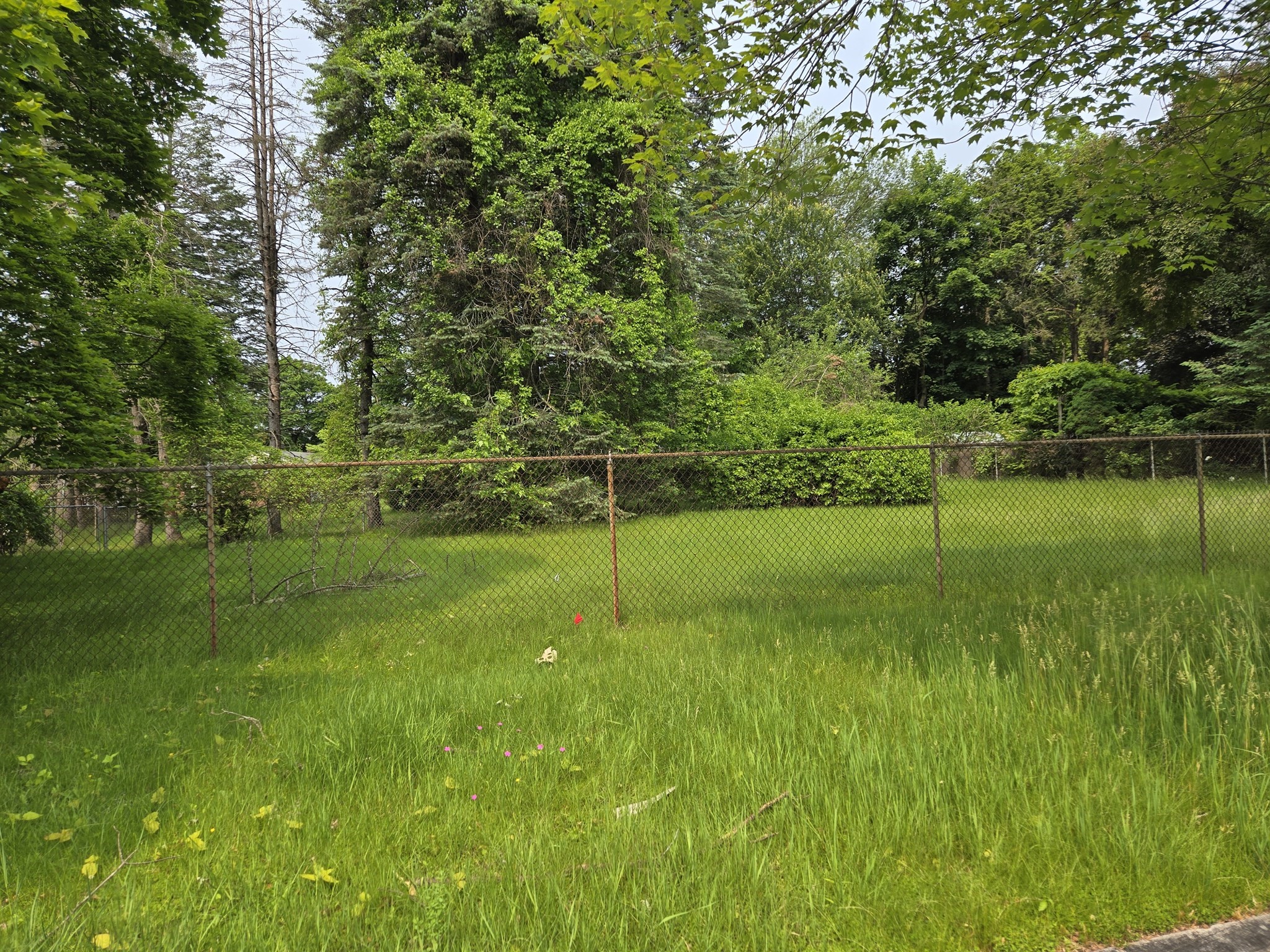 Lot 37 Kane Street Property Photo 2