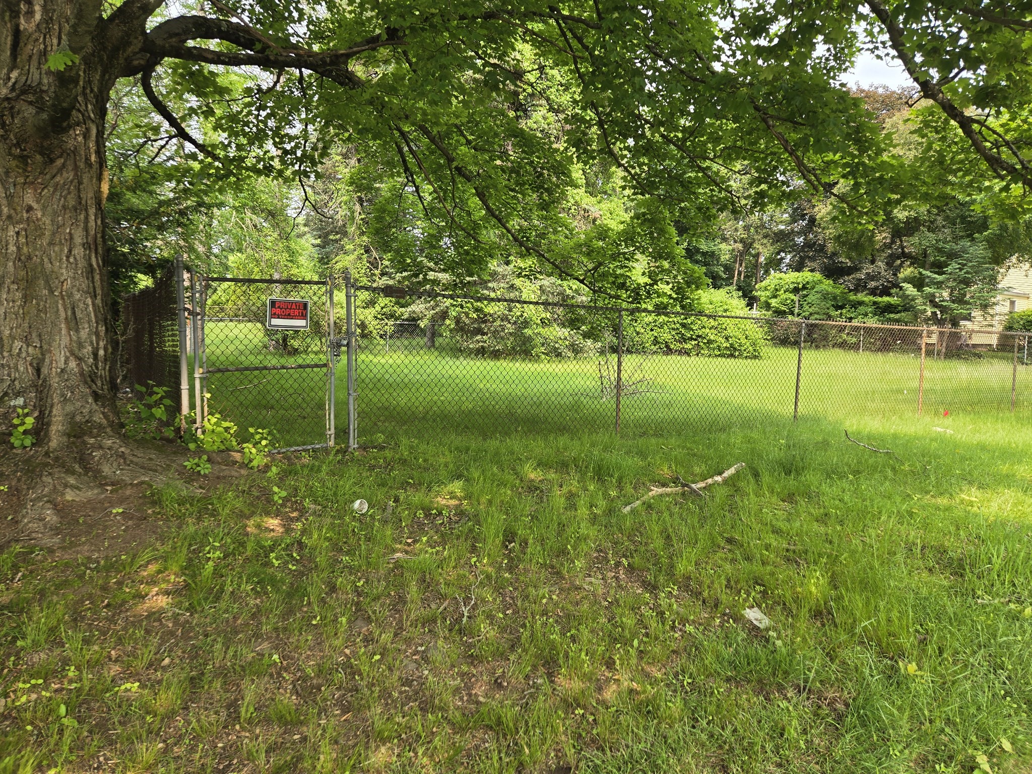 Lot 37 Kane Street Property Photo 5