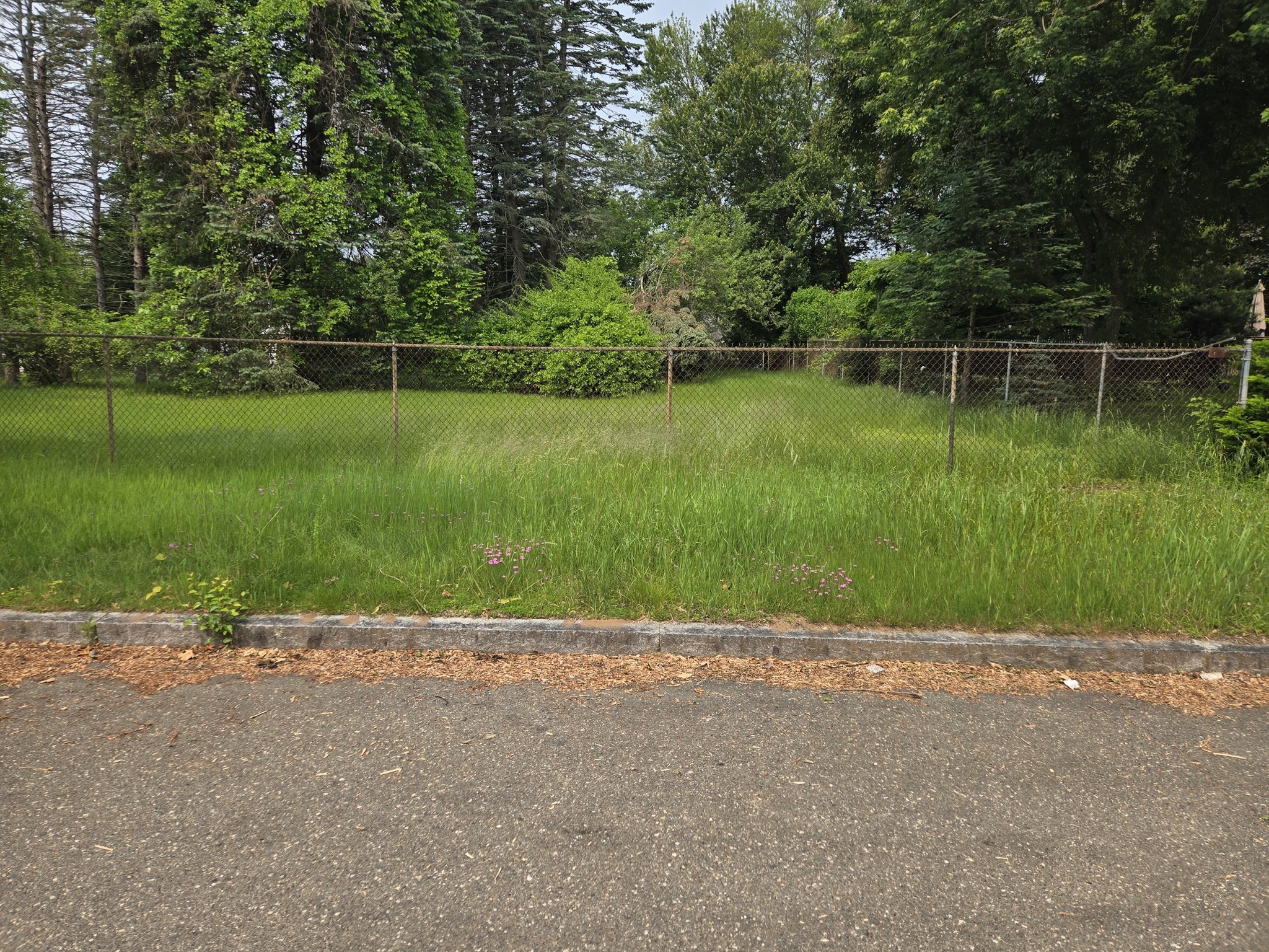 Lot 37 Kane Street Property Photo 6