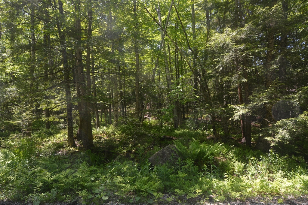 Lot 155 Chippewa Drive Property Photo 1