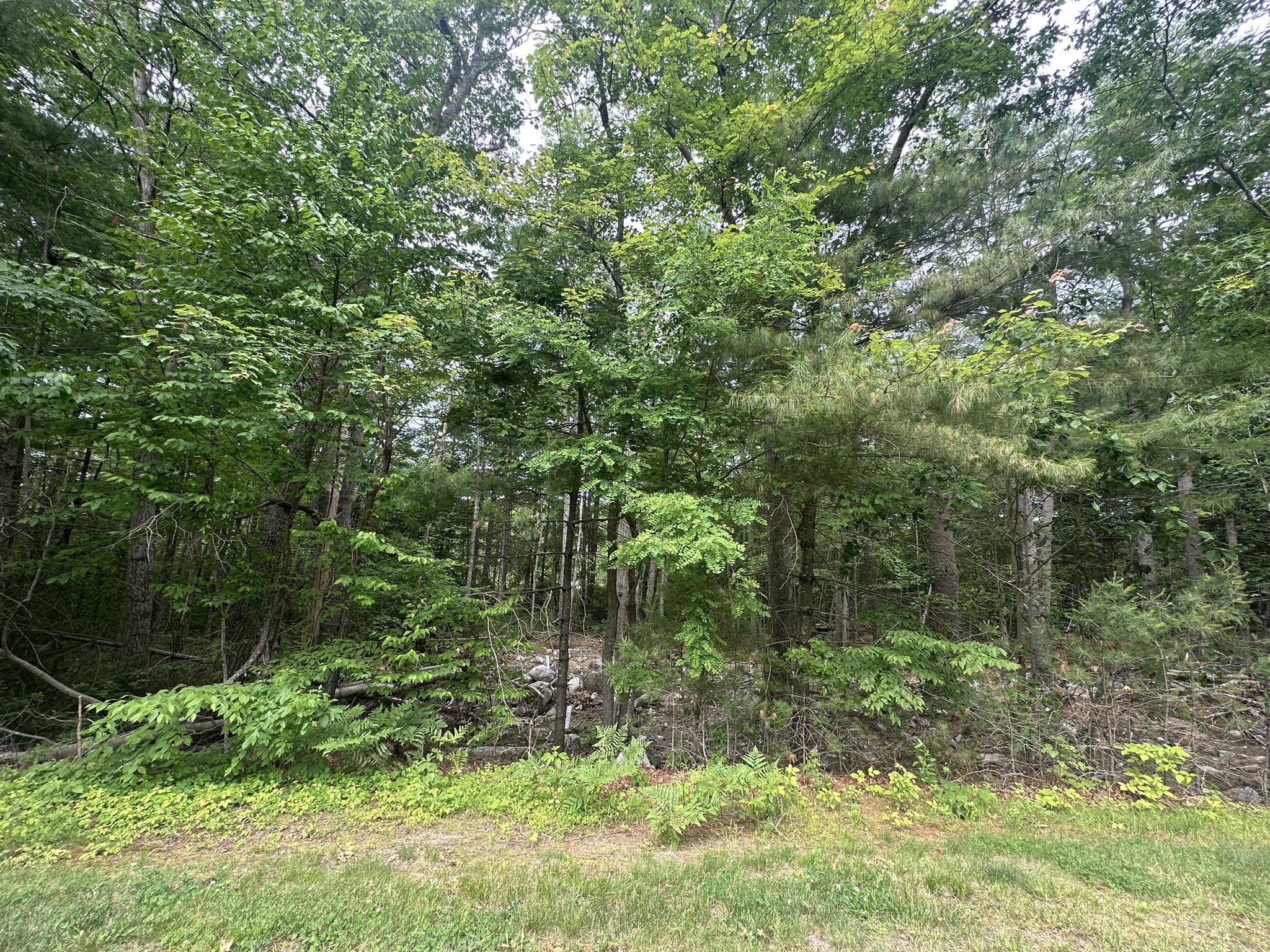 52 Round Farm Rd Lot 1 Property Photo 1