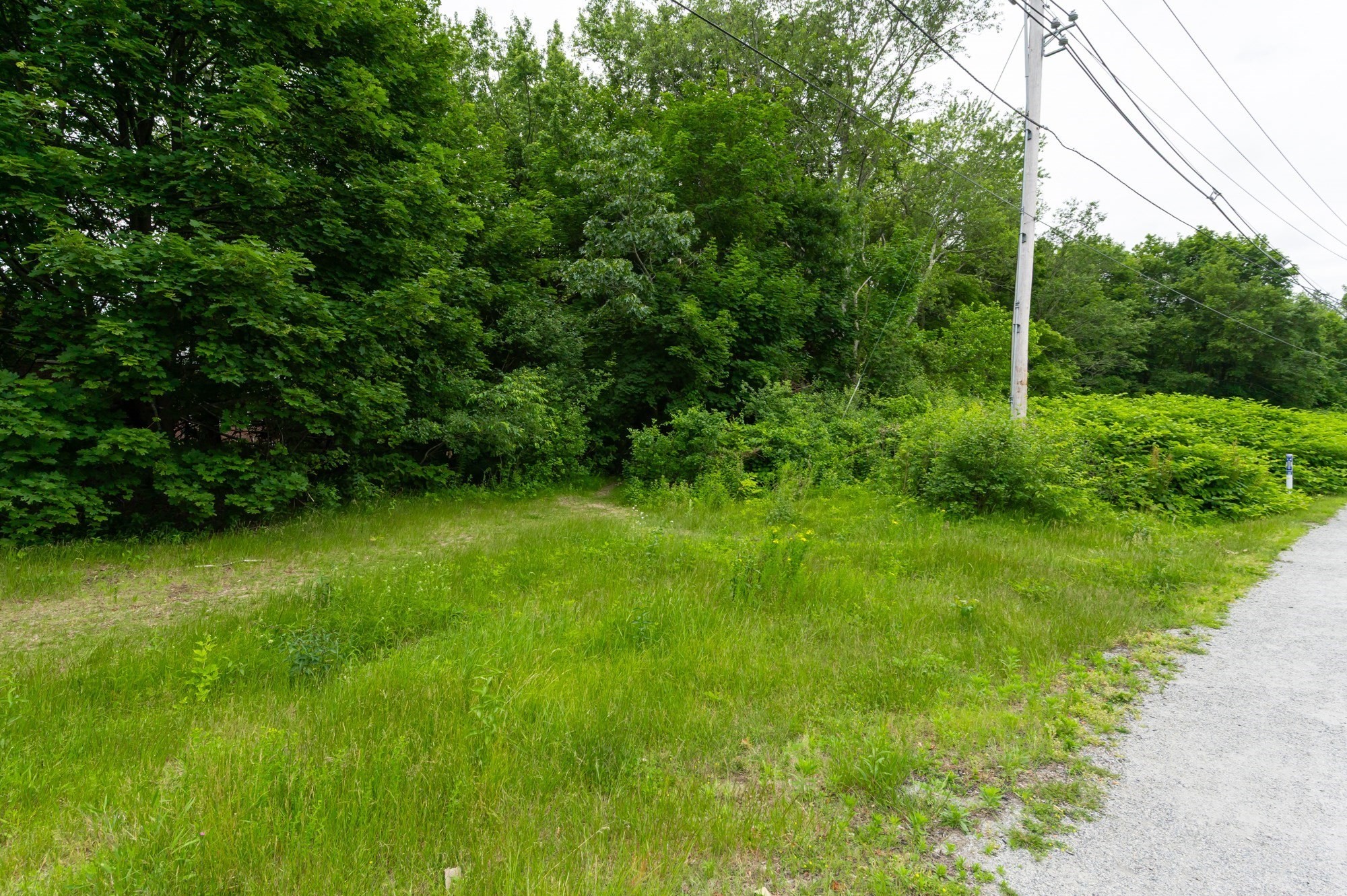 63 Adams St Property Photo 14