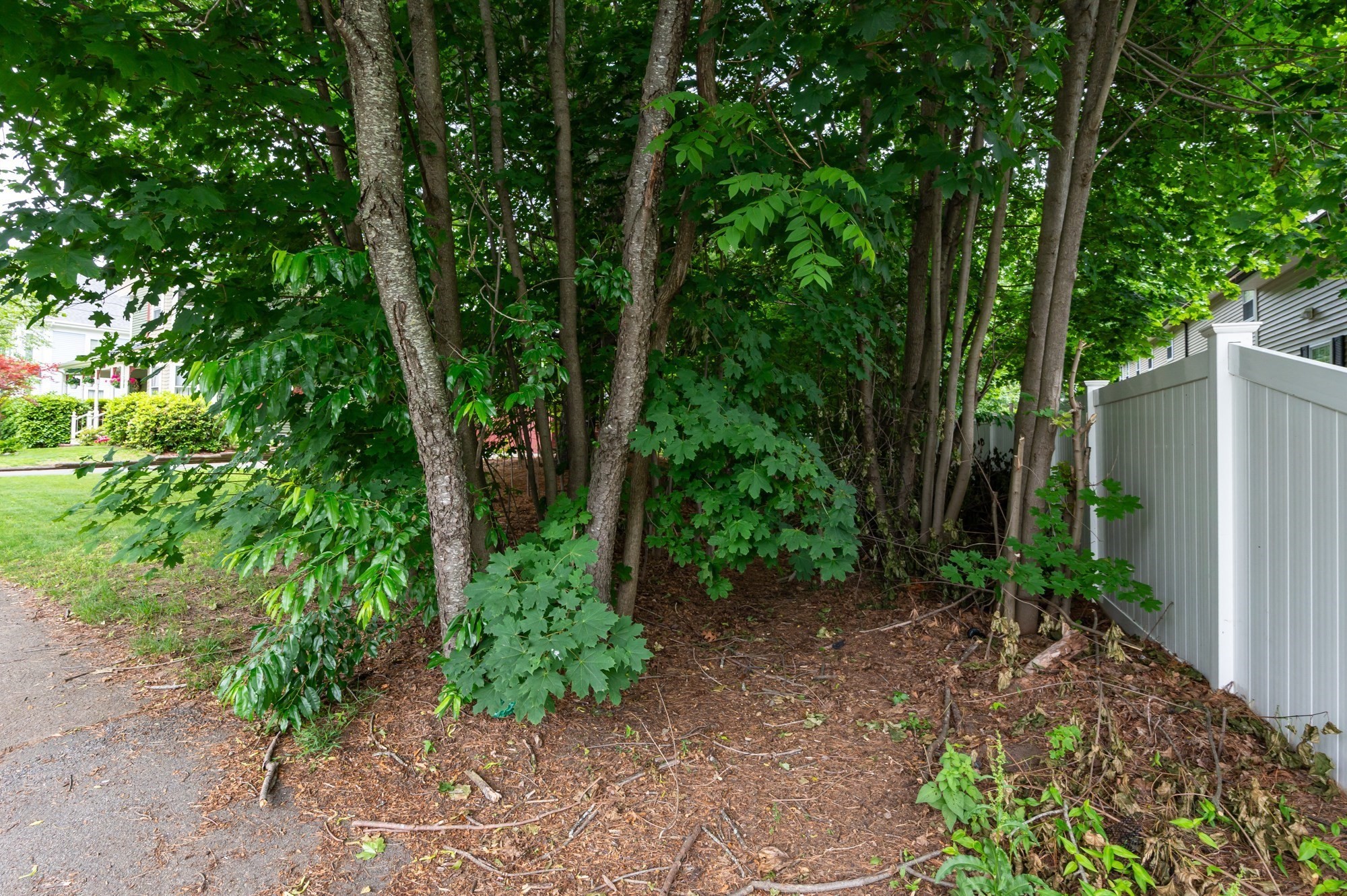 63 Adams St Property Photo 27