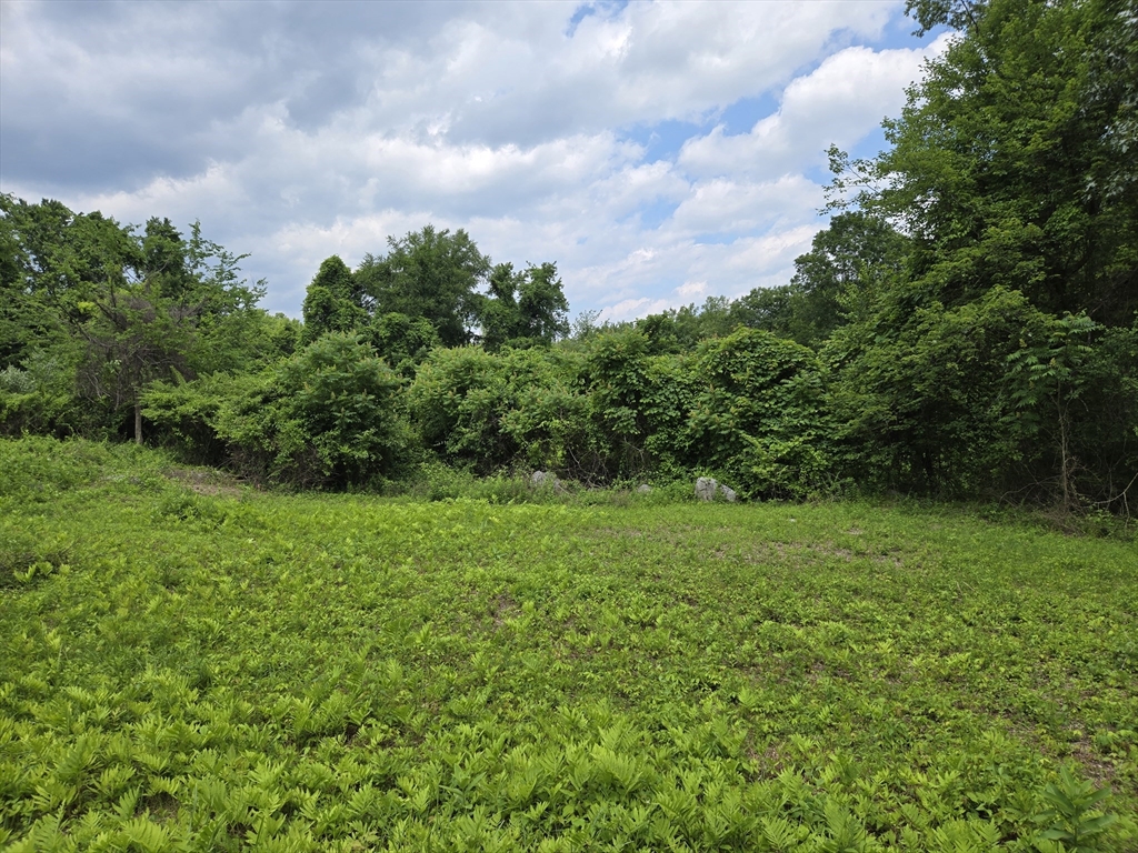 0 Old Stage Rd Property Photo 1