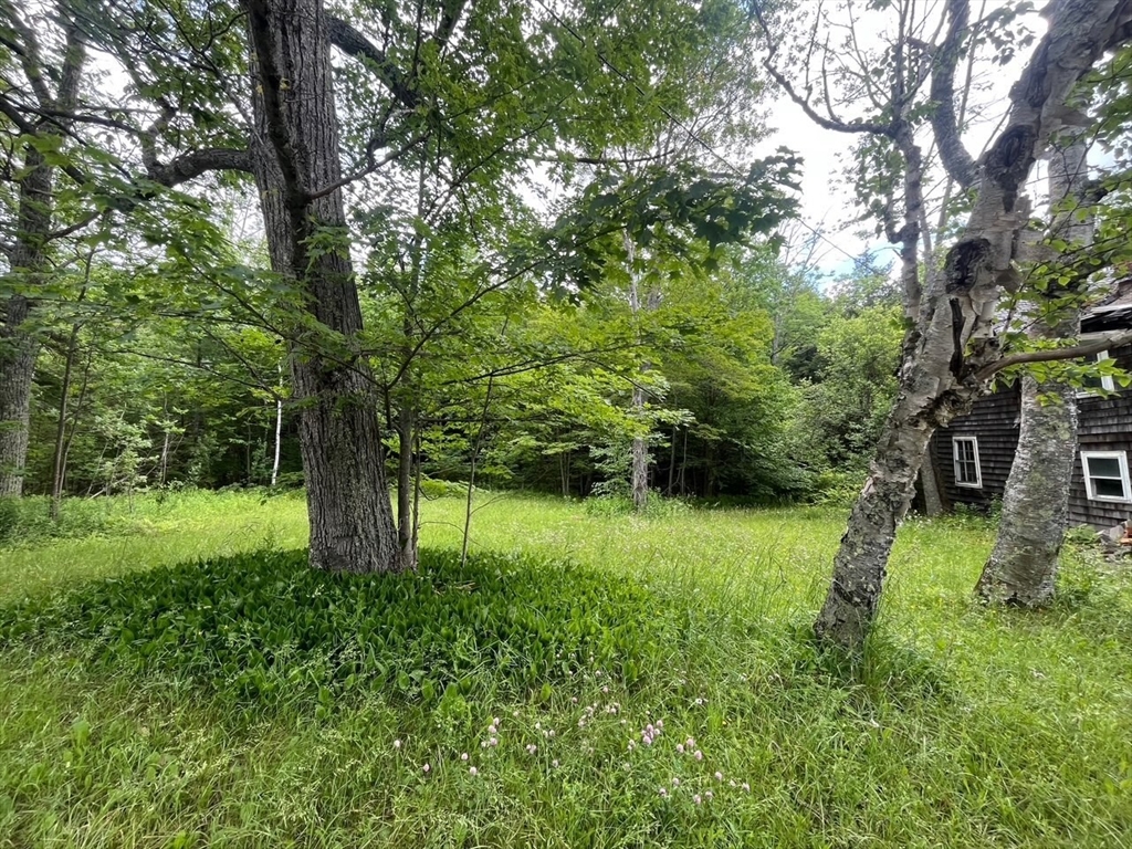 477 Mohawk Trl Property Photo 3