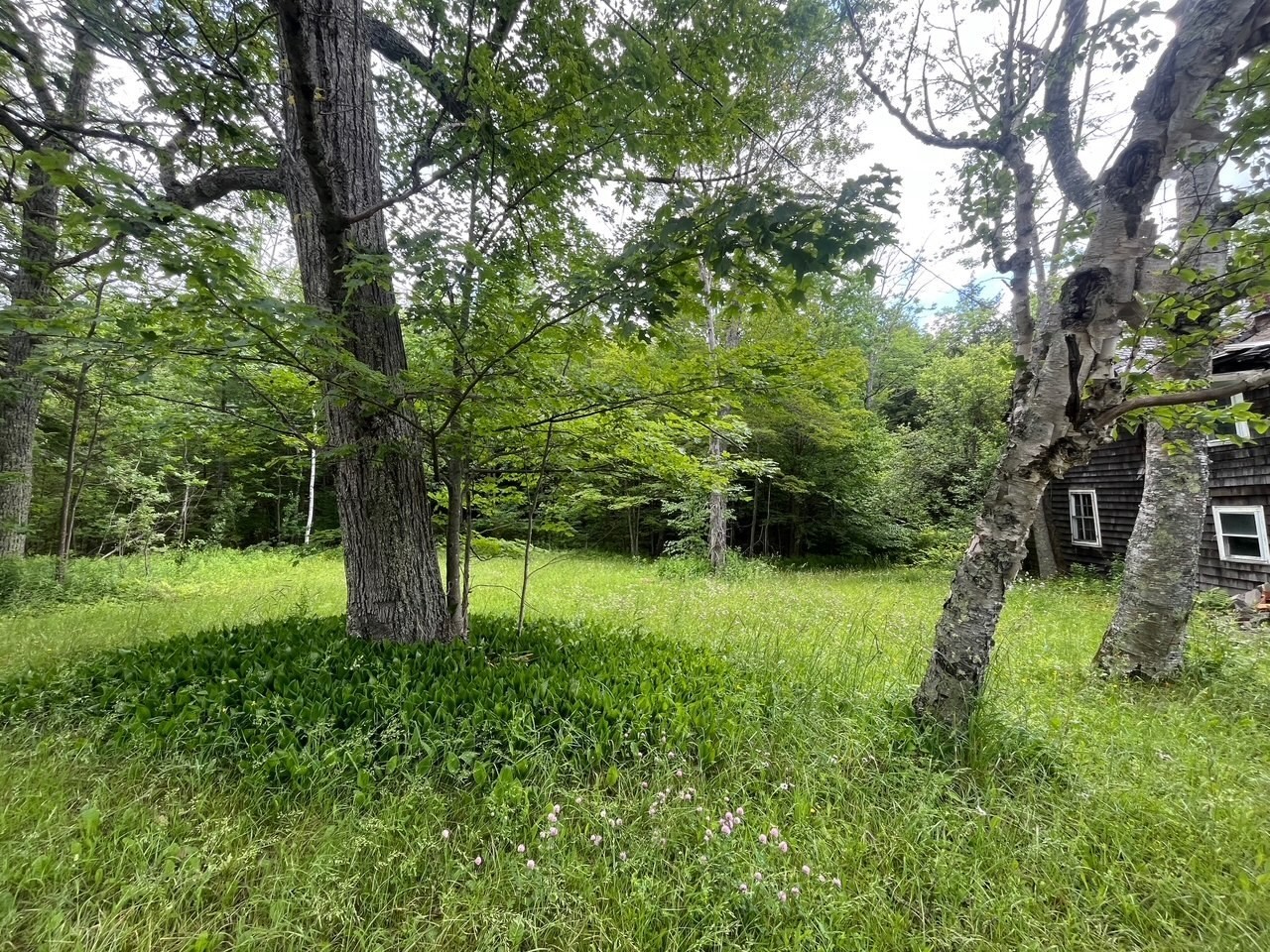 477 Mohawk Trl Property Photo 3