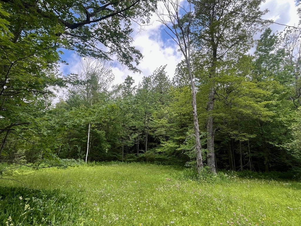 477 Mohawk Trl Property Photo 4