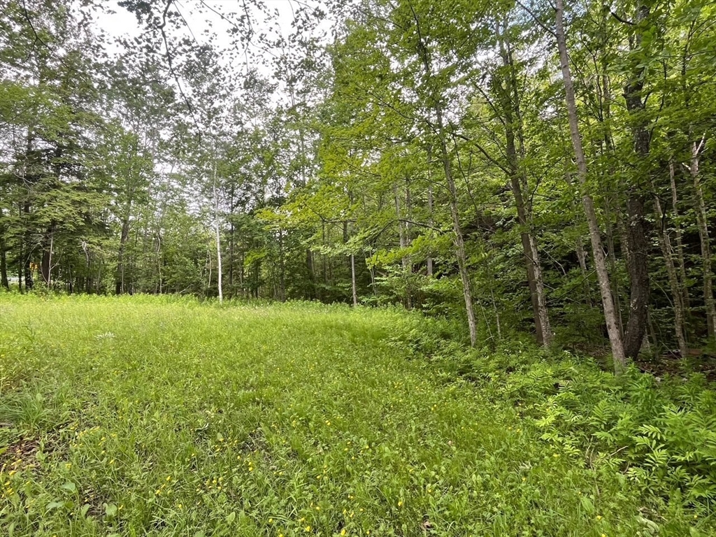 477 Mohawk Trl Property Photo 7