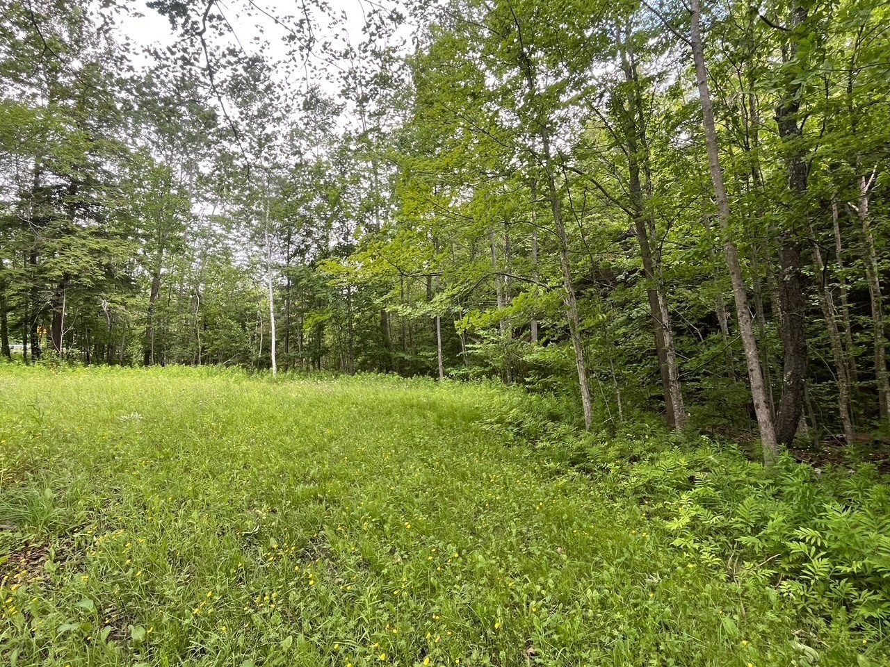 477 Mohawk Trl Property Photo 7