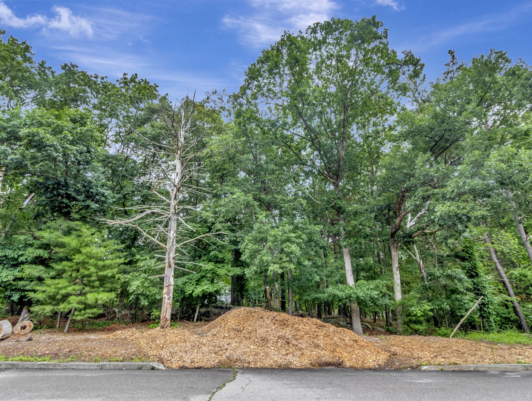 15 Randall Farm Drive Property Photo 2