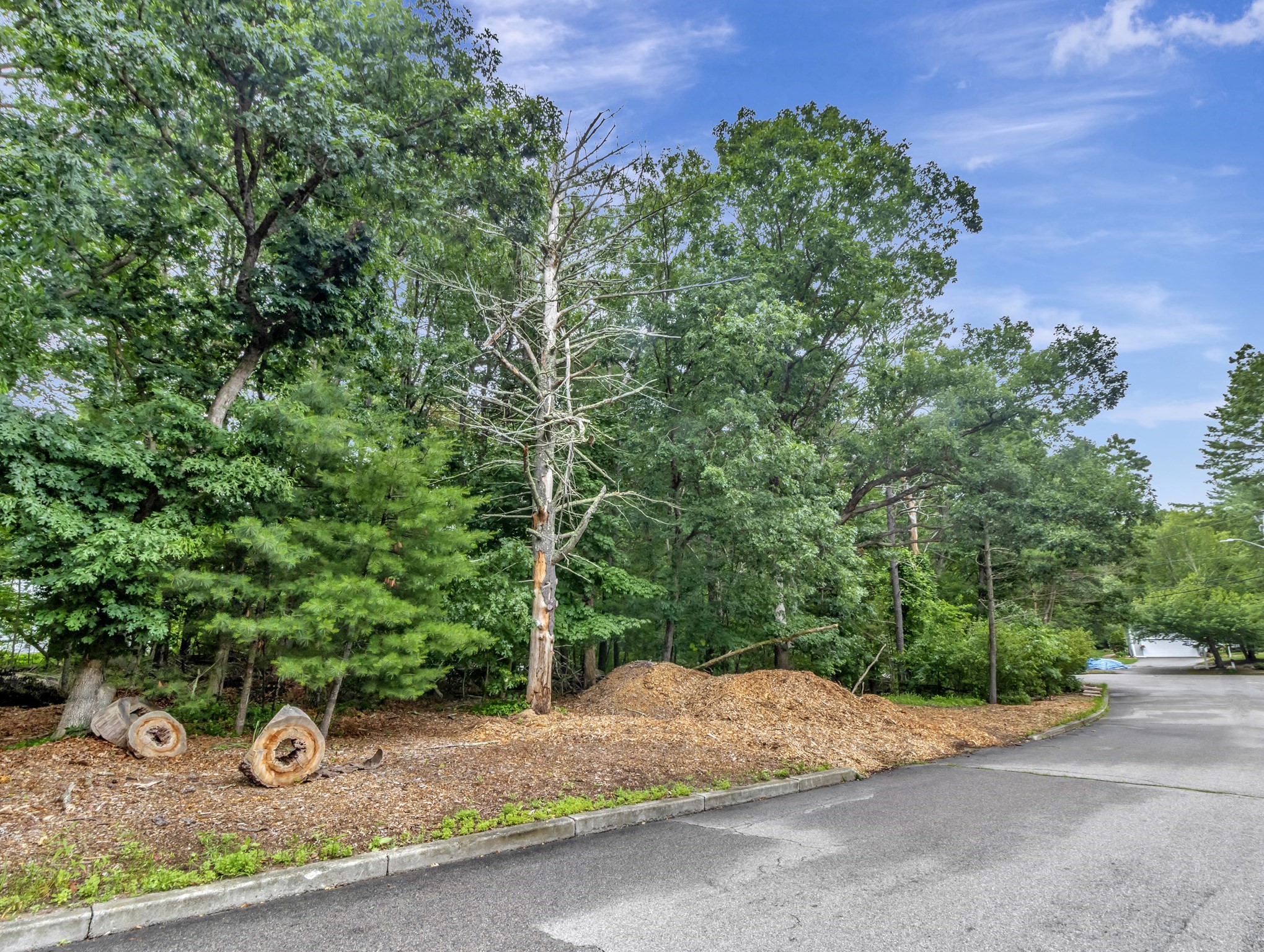 15 Randall Farm Drive Property Photo 3