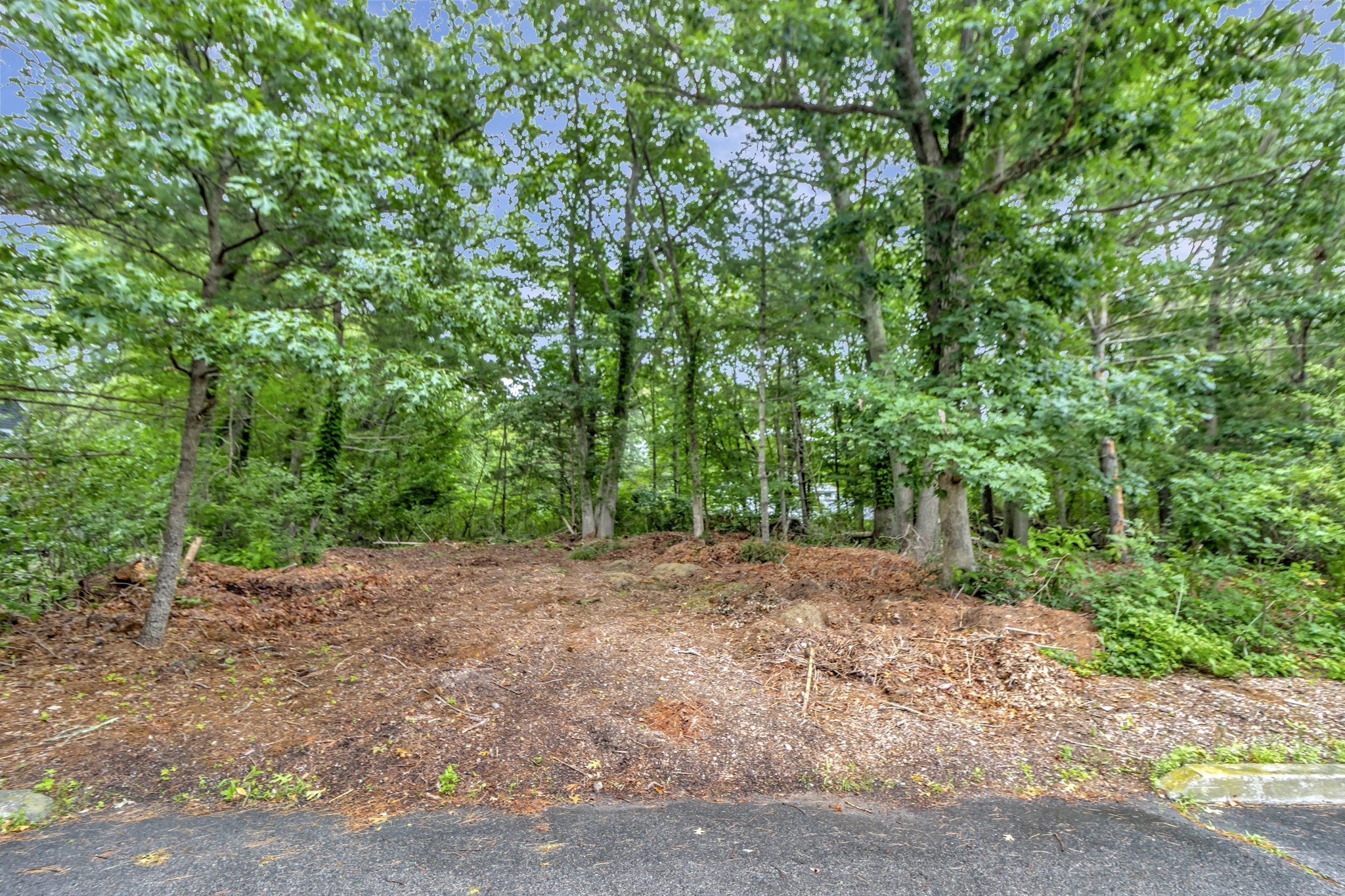 15 Randall Farm Drive Property Photo 11