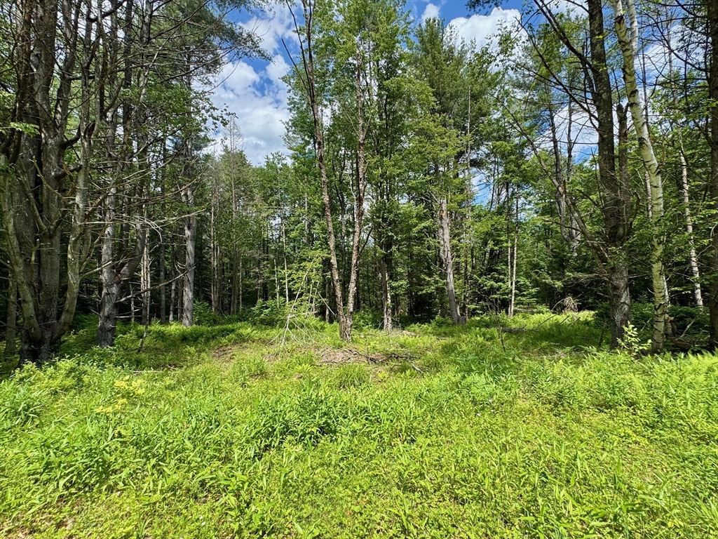 0 Shelburne Falls Road Property Photo 1