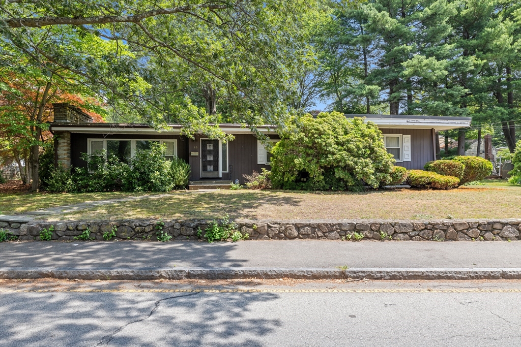 20 Hardy Street Property Photo 1