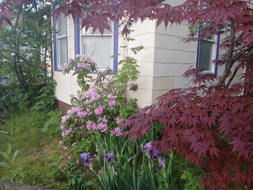 146 Beech St Property Photo 1
