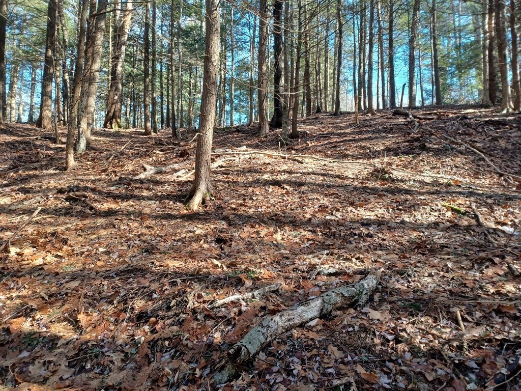 296 Northwest Road Property Photo 1