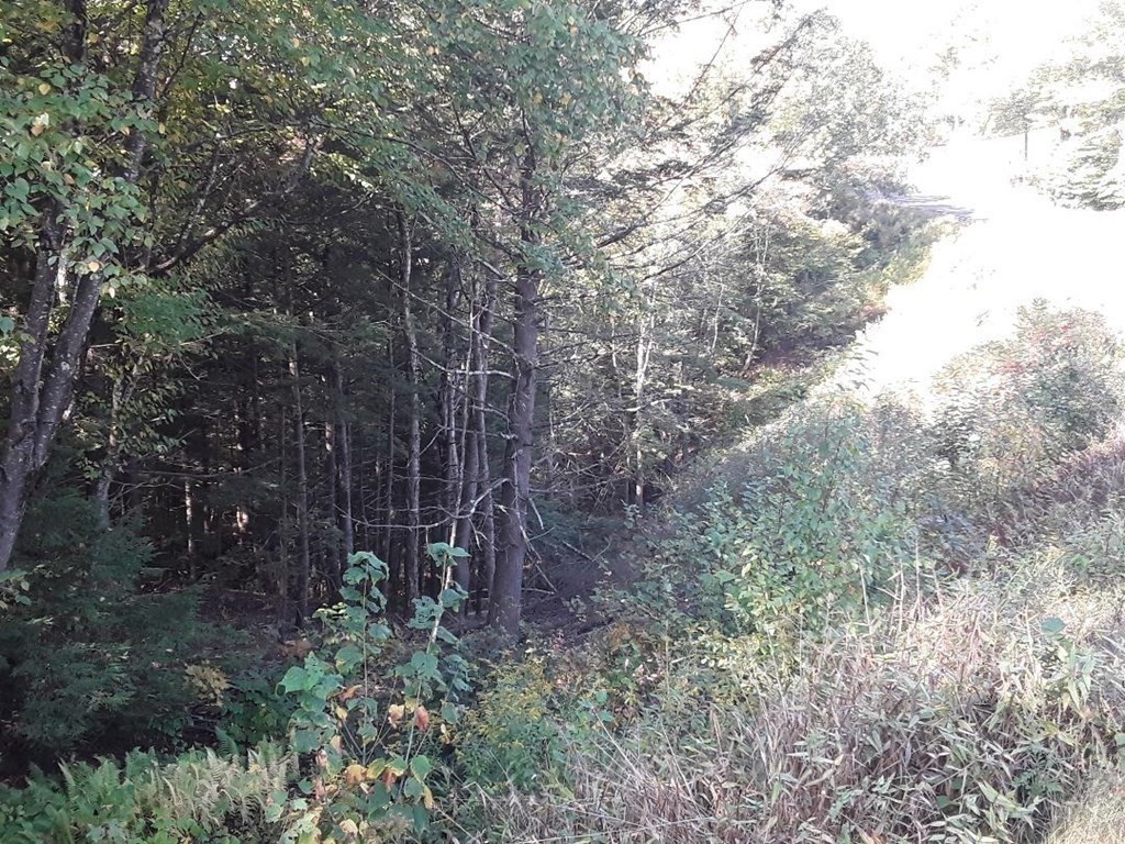 296 Northwest Road Property Photo 5