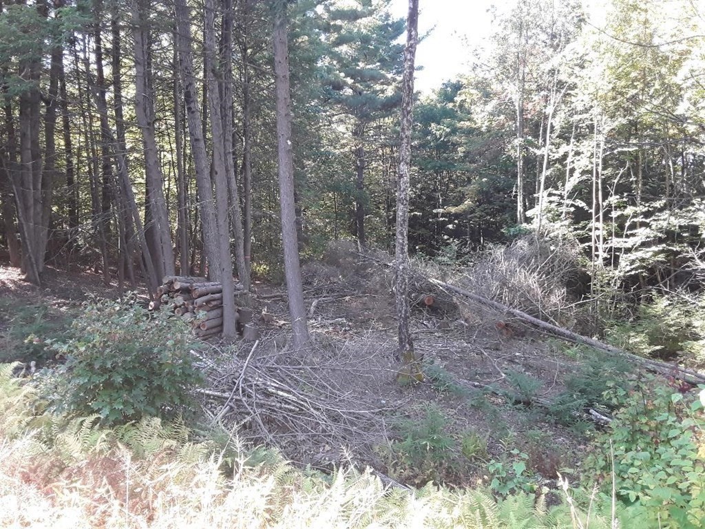 296 Northwest Road Property Photo 8