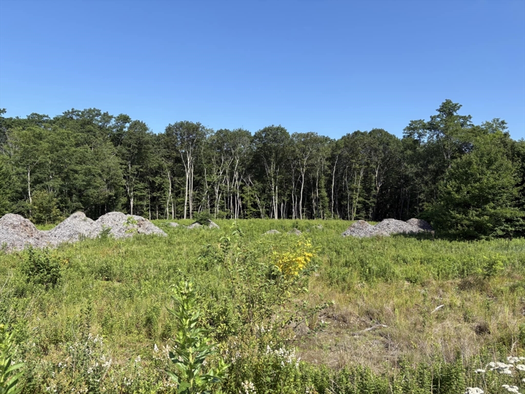 193 Paxton Street Property Photo 1