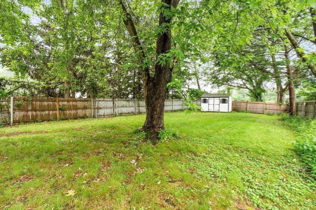 55 Smith Street Property Photo 31