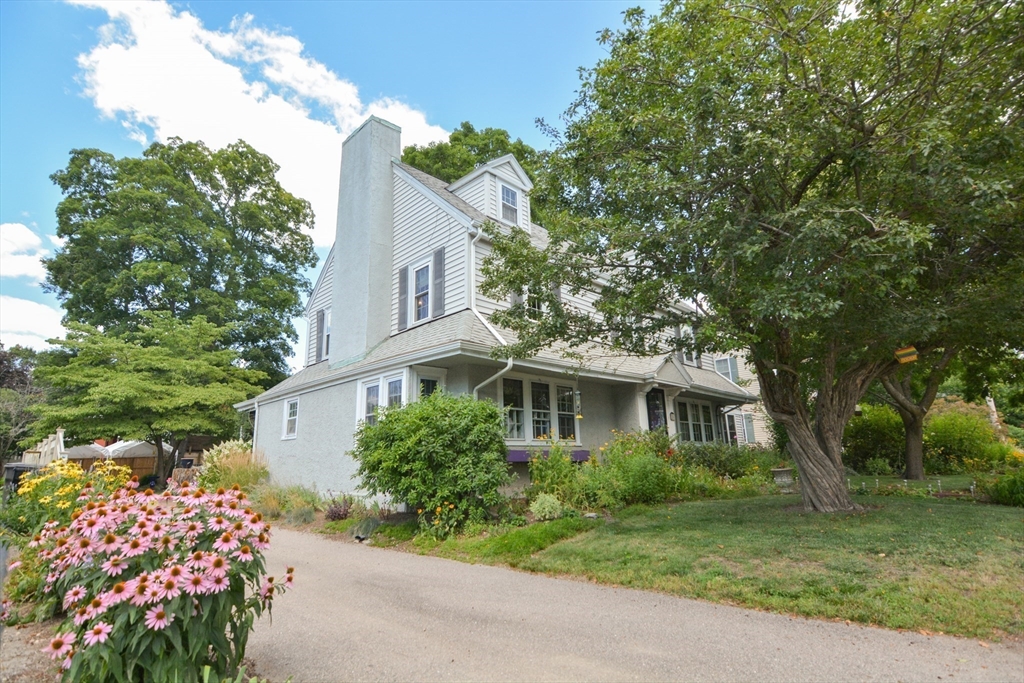 36 Nelson Street Property Photo 1